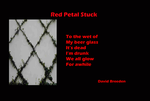 Breeden Postcard