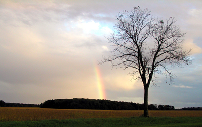 Indiana Pot O Gold