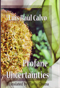 Profane Uncertainties by Luis Raul Calvo