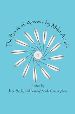 The Book of Arrows by Mike Amado